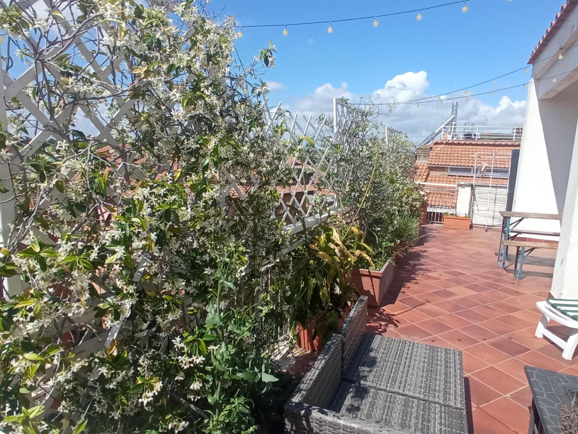 Rooftop Appia Antica,Silenzioso Riservato Two Bedrooms Two Bathrooms Rzym Zewnętrze zdjęcie